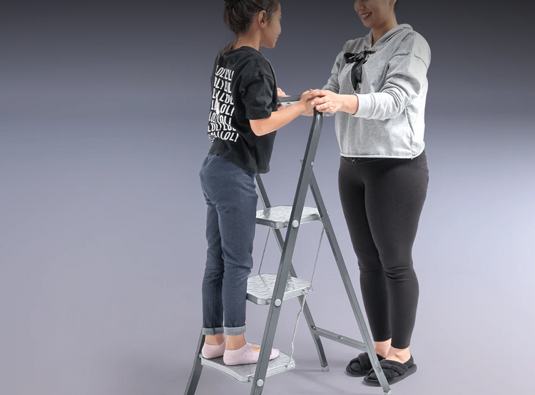 LADDERS
