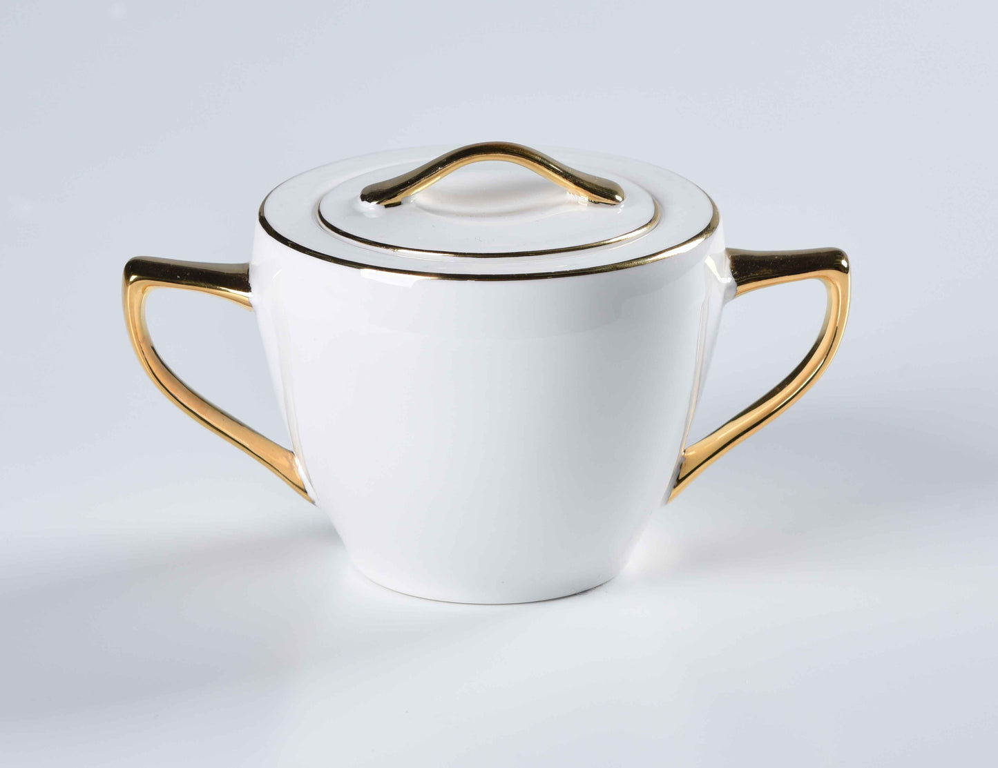 REGAL FINE DINING SET - 60 PIECE DINNER SET FOR 6 PEOPLE - FREYA - GOLD.