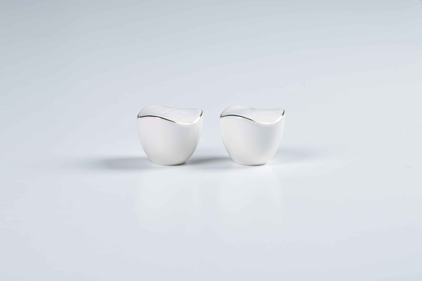 ETERNA PORCELAIN - 60 PIECE DINNER SET FOR 6 PEOPLE - ORGANIC - YZ24-001G